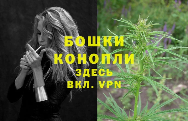 твердый Арсеньев