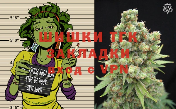 твердый Арсеньев