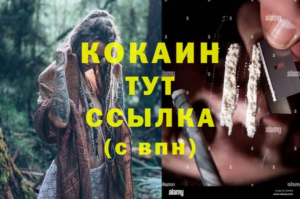 твердый Арсеньев