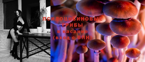 твердый Арсеньев