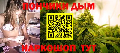 прущие грибы Нальчик