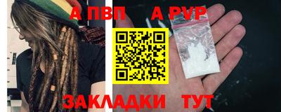 прущие грибы Нальчик