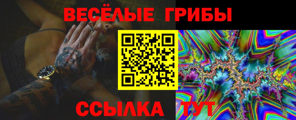 Галлюциногенные грибы прущие грибы Ульяновск