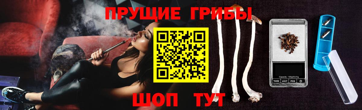 Ульяновск  Галлюциногенные грибы Psilocybine cubensis  Вход с VPN 